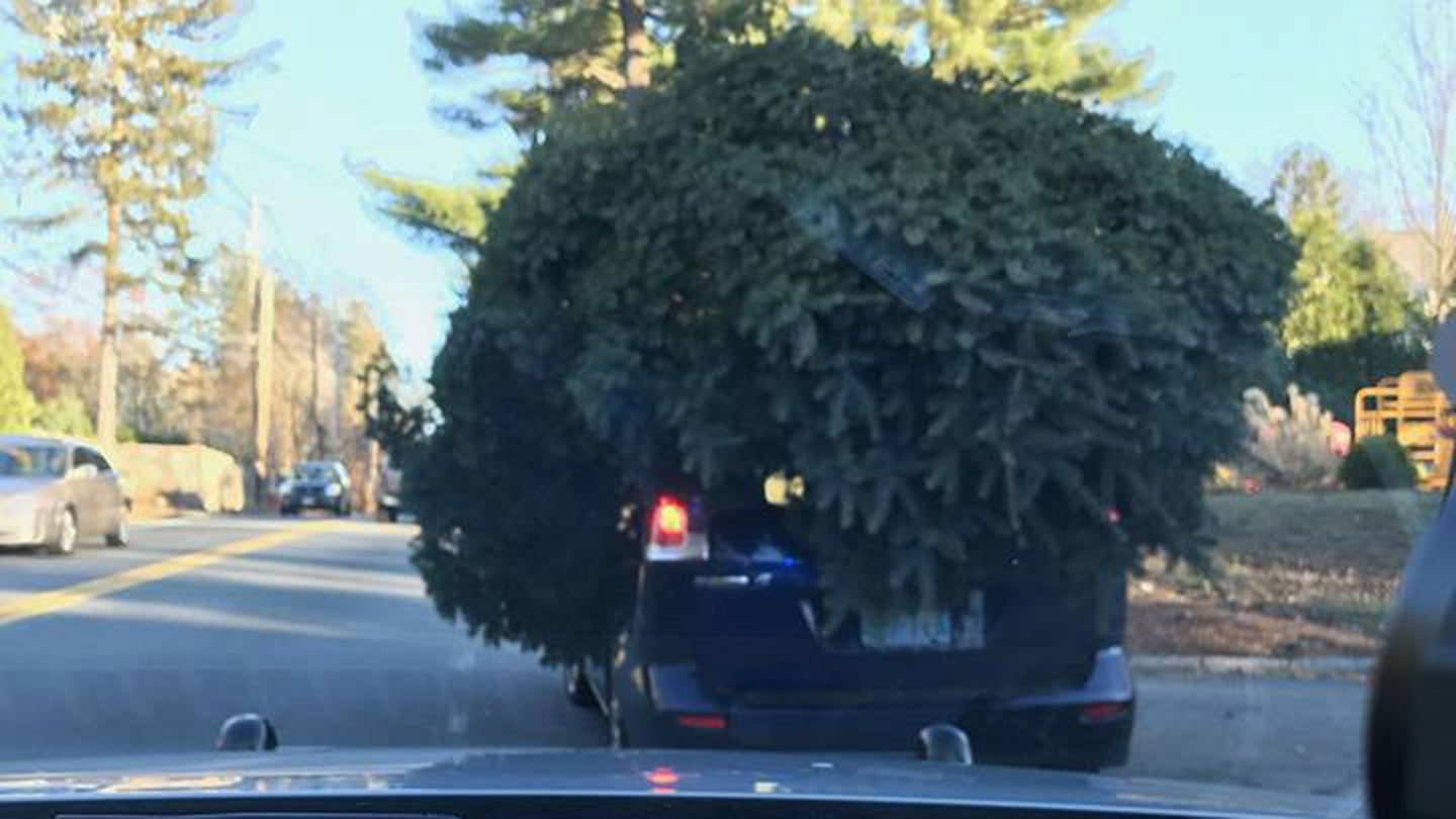 Massachusetts Police Stop Mazda With Massive Christmas Tree On Its Roof