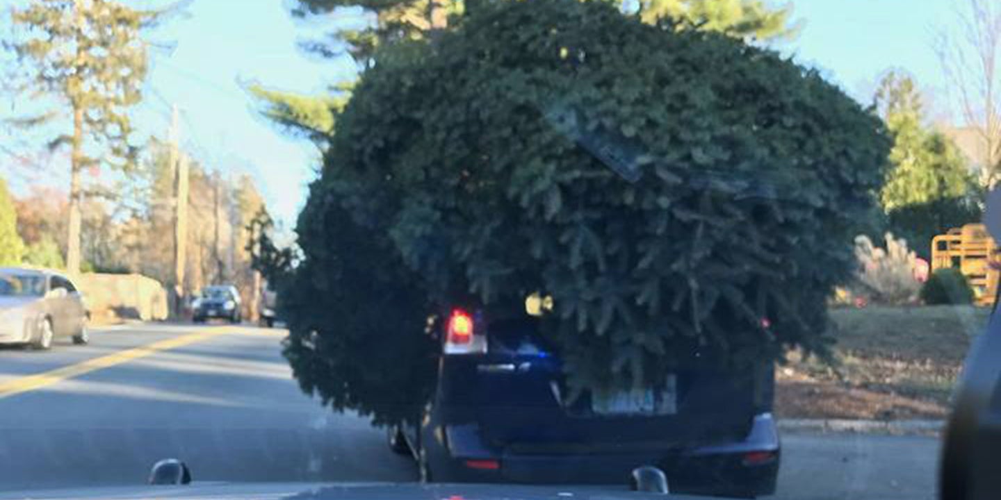 Massachusetts Police Stop Mazda With Massive Christmas Tree On Its Roof
