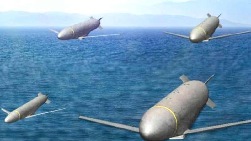 USAF Wants Swarms of Cheap “Gray Wolf” Cruise Missiles That Can Overwhelm Enemy Defenses