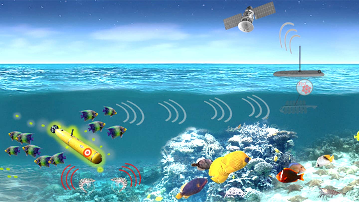 DARPA Wants to Use Fish and Other Sea Life to Track Enemy Submarines