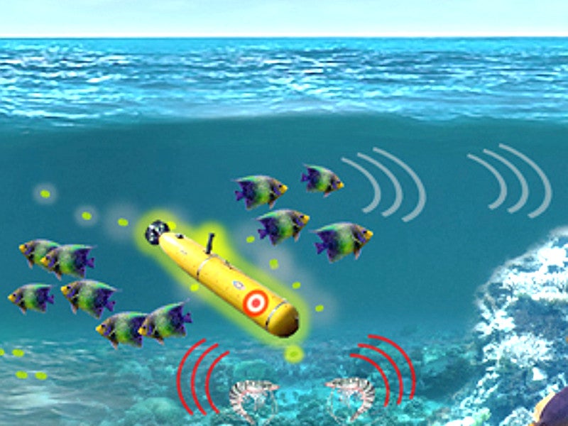 DARPA Wants to Use Fish and Other Sea Life to Track Enemy Submarines