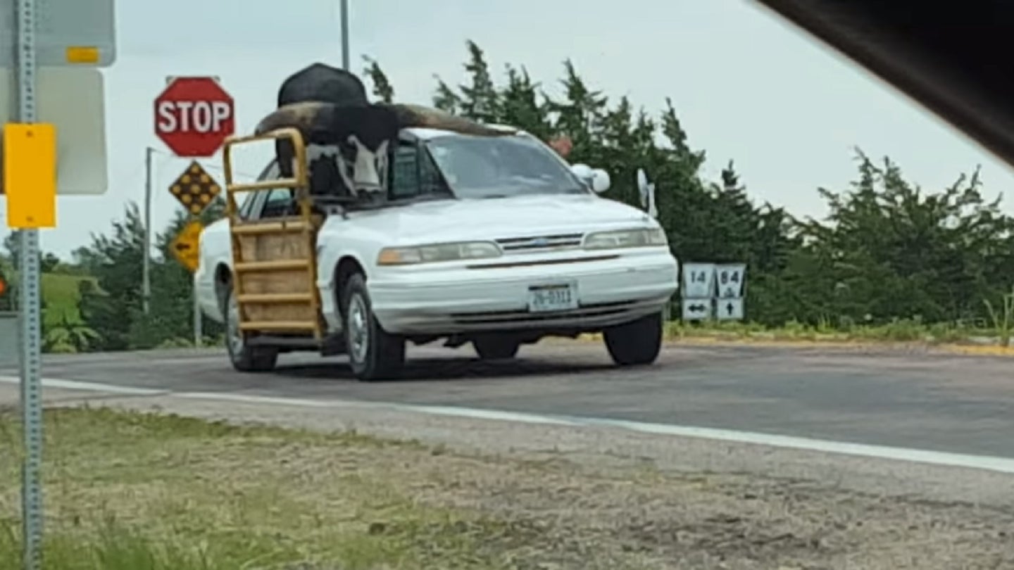 This Ford Crown Victoria Bull Carrier Is Definitely Not OSHA Approved