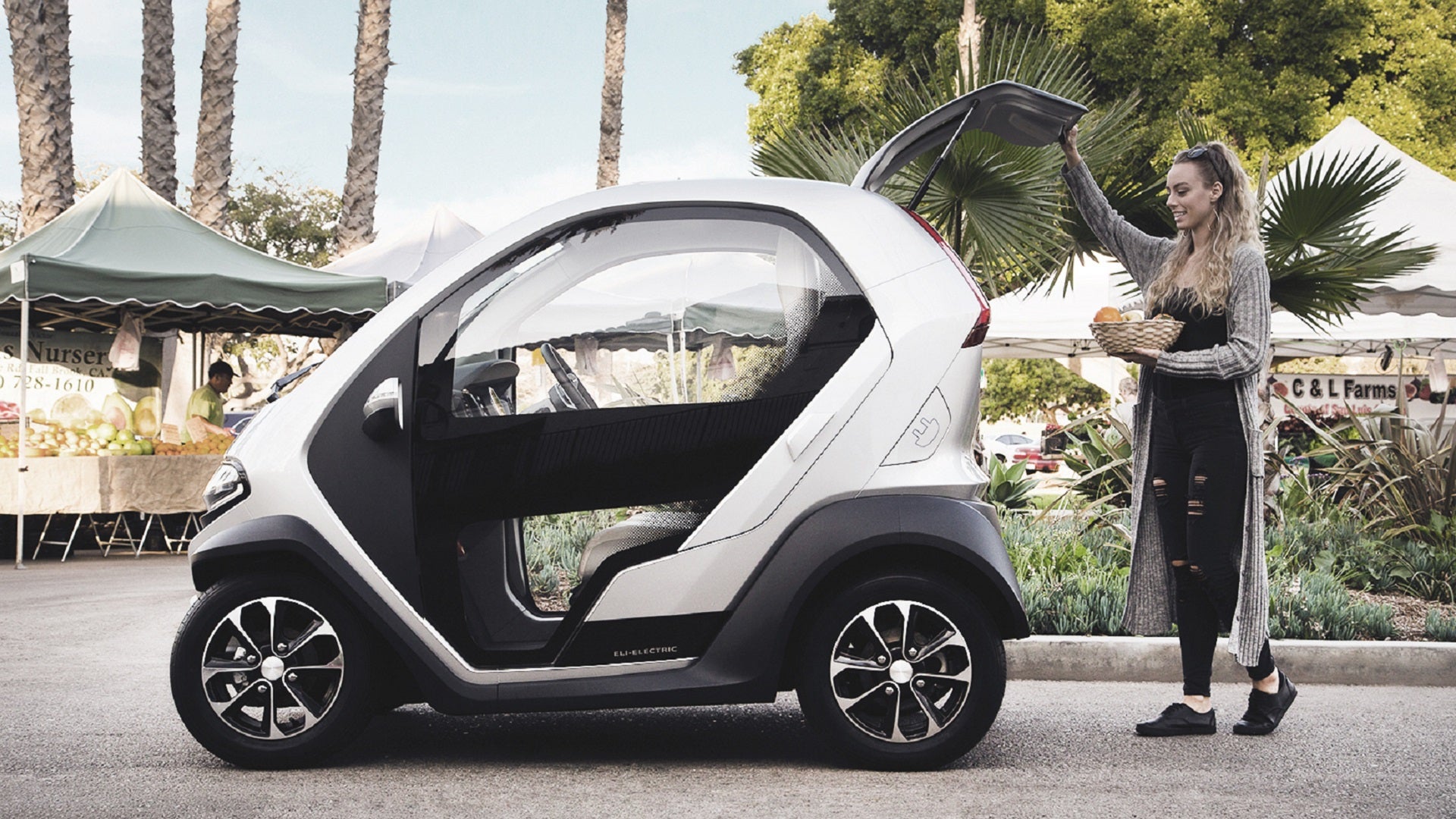 Neighborhood Electric Vehicles: A Different Kind of Electric Car