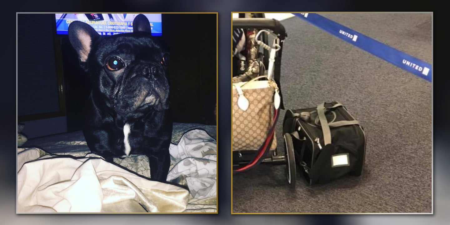 Dog Dies After United Airlines Flight Attendant Makes Him Ride In Overhead Bin
