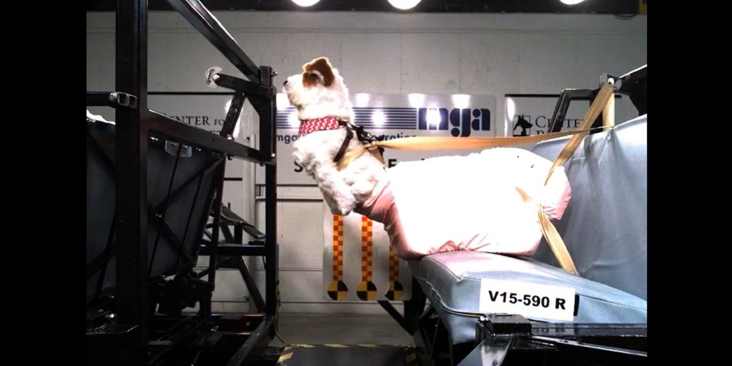Booster Seats For Little Dogs Are Just Plain Dangerous