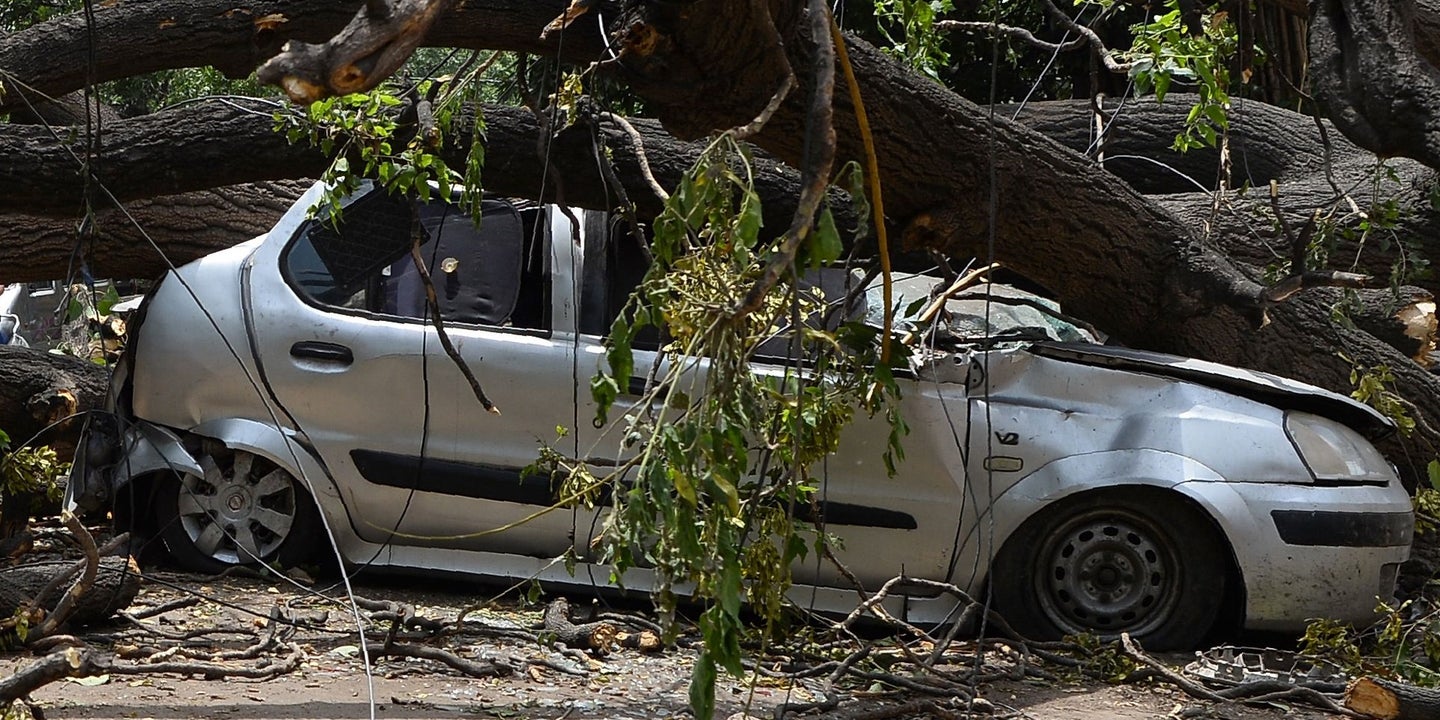 Journalists Killed When Uprooted Tree Fell on Car in North Carolina Storm