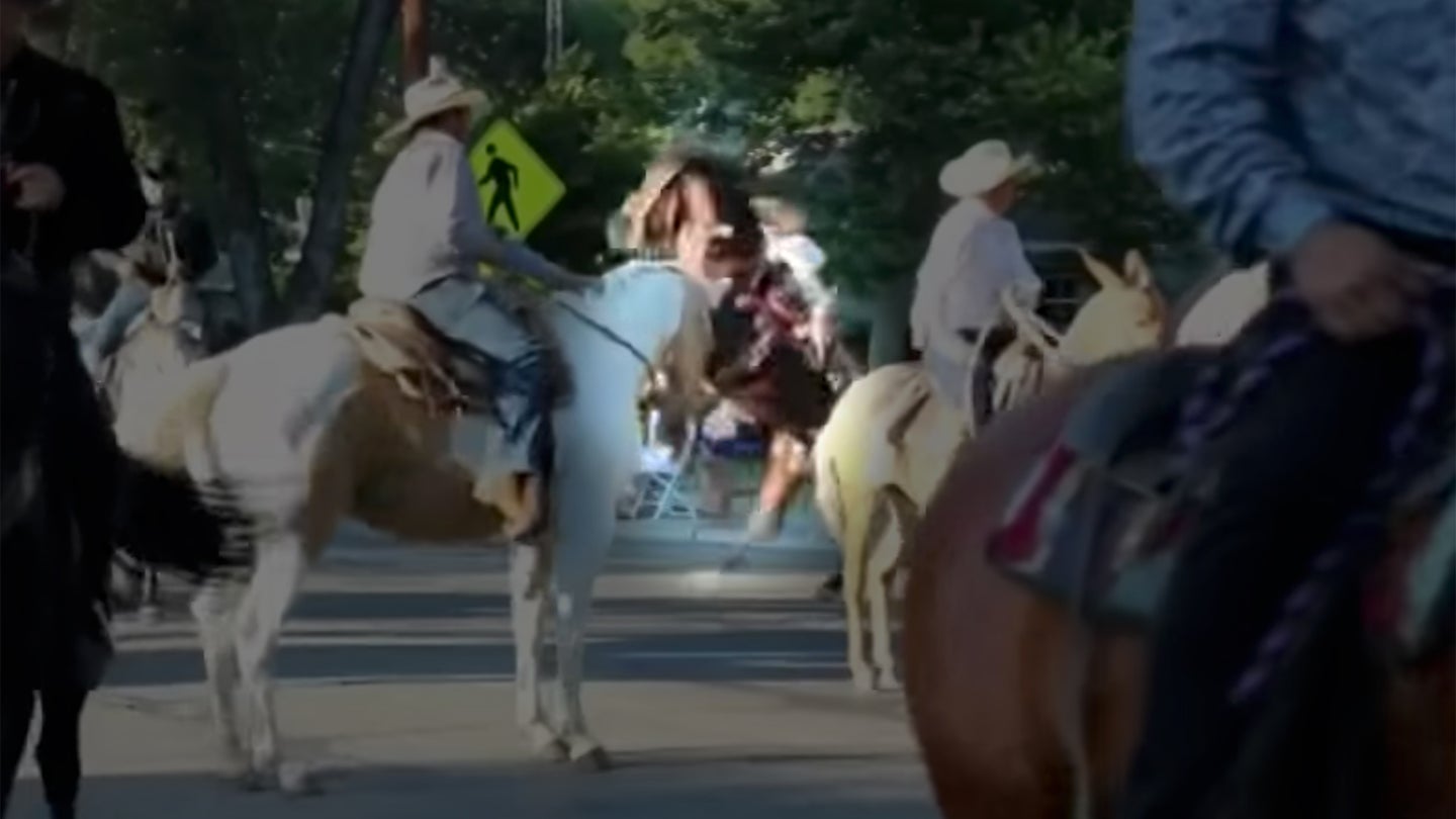 Rider Arrested for DUI After Falling Off Horse, Letting It Bolt Into Parade Crowd