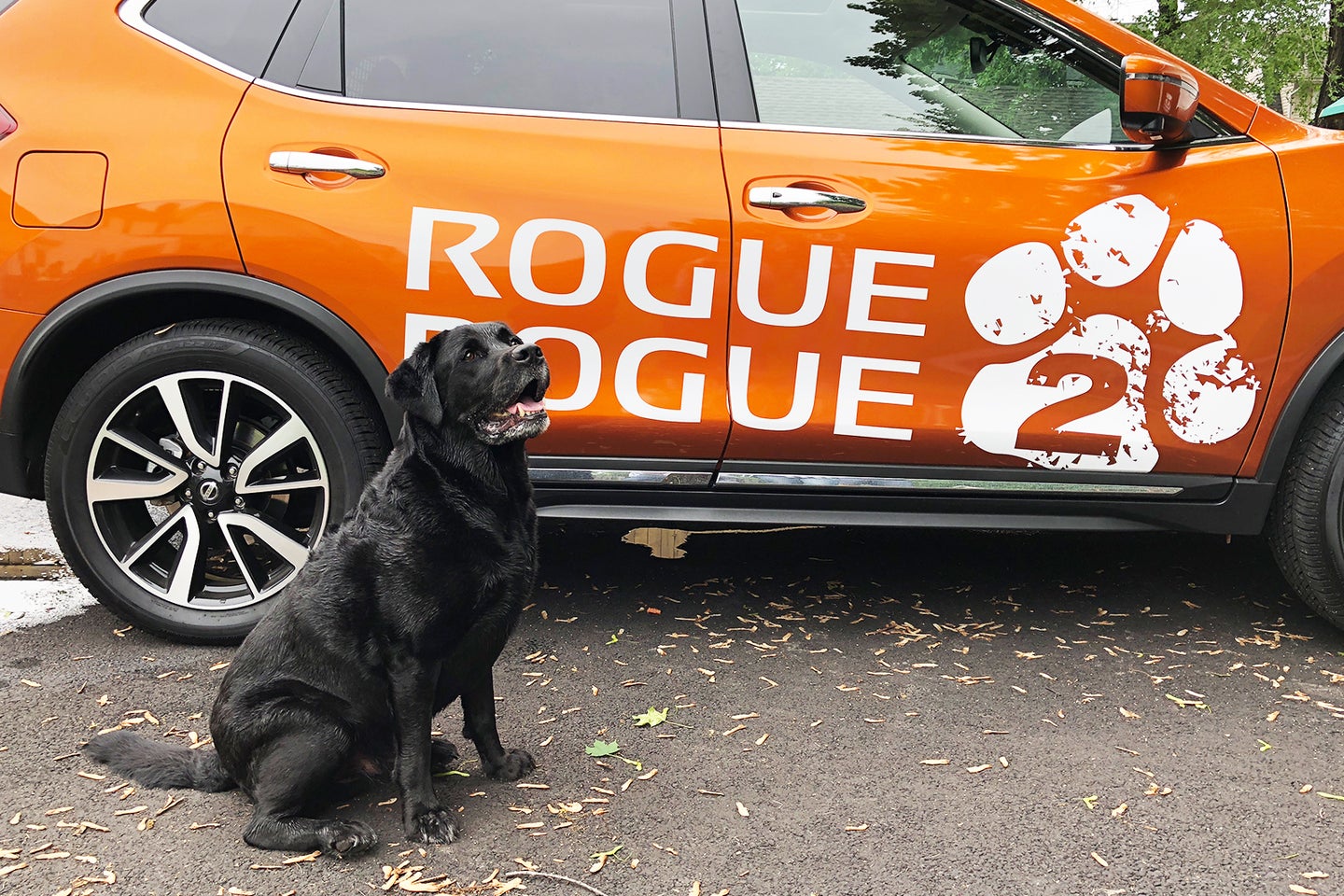 The Nissan Rogue Dogue 2 Is a Cute, If Unexceptional, Concept