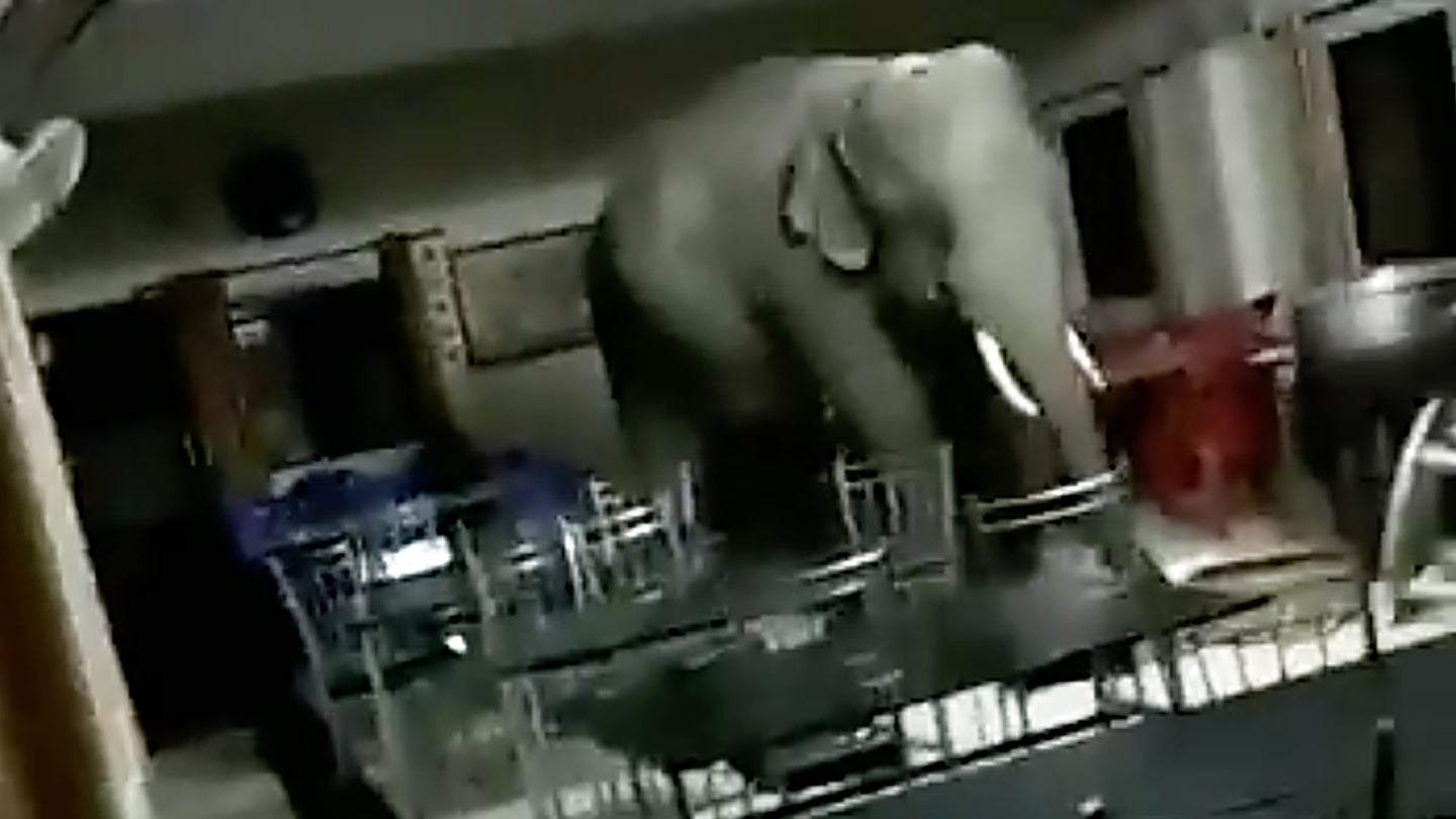 There Was Literally An Elephant In The Room At This Indian Military Installation