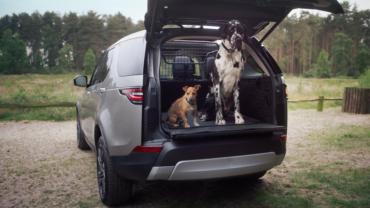 Land Rover Now Offers Dog-Oriented ‘Pet Packs’