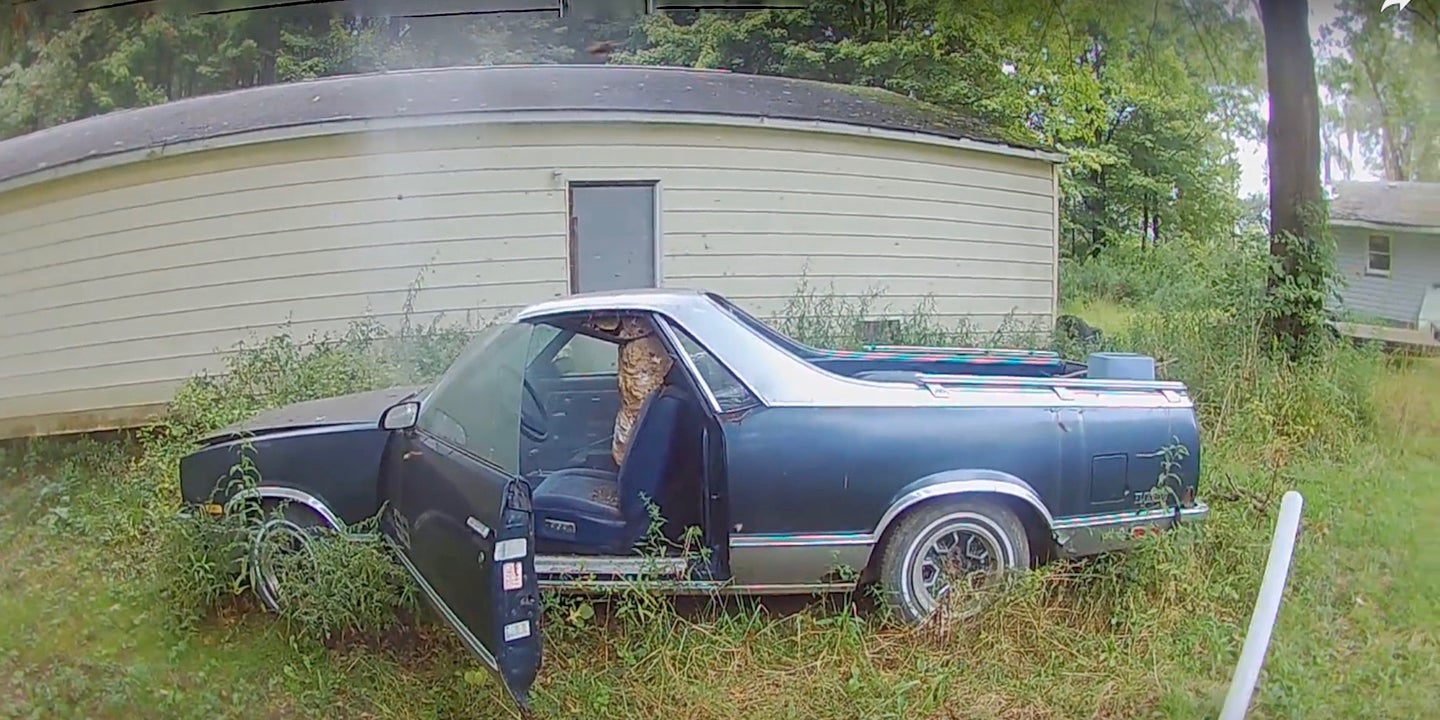 Watch Courageous ‘Bee Man’ Free a Chevrolet El Camino Taken Hostage by Giant Hornets