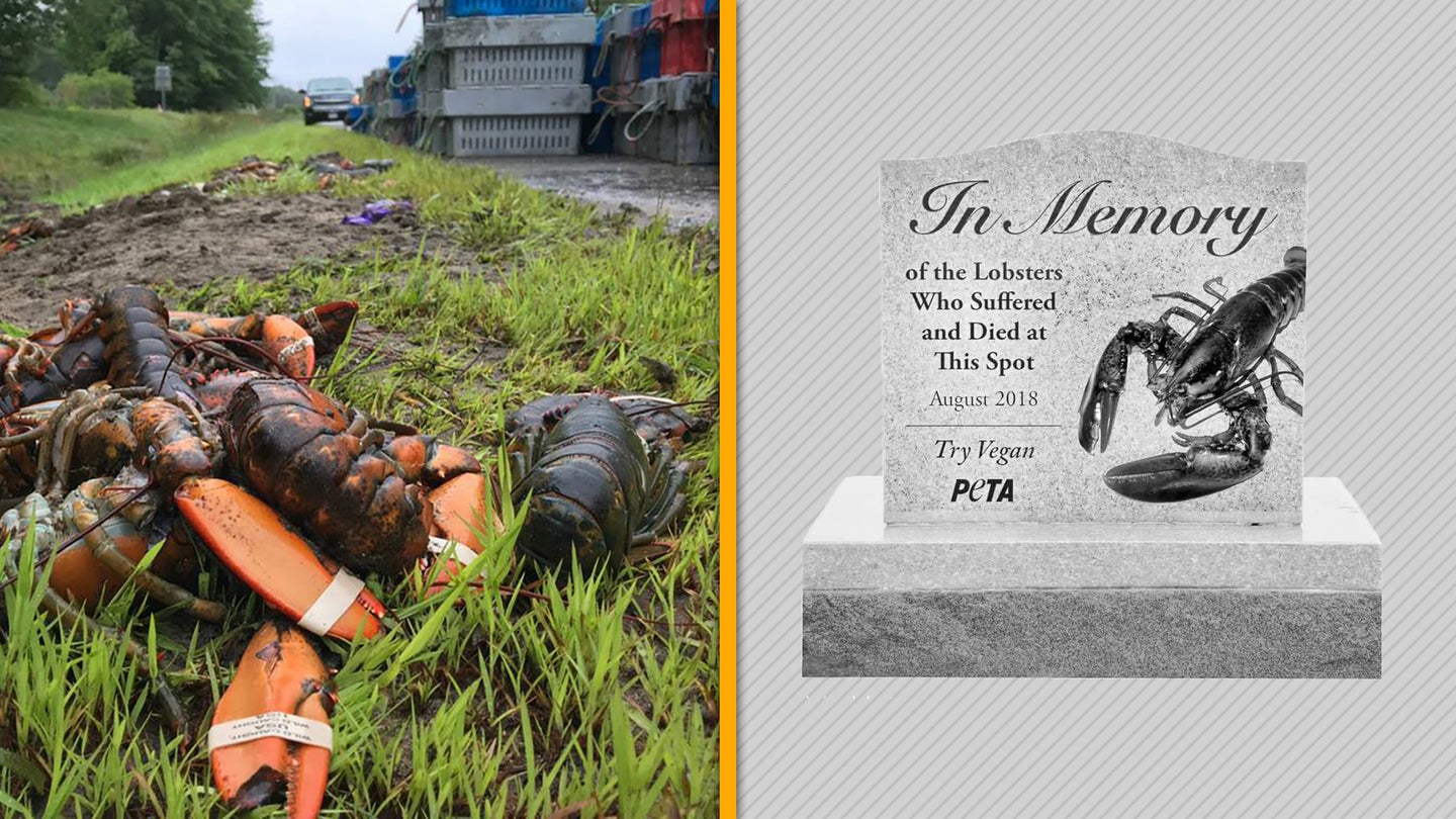 Maine DoT Rejects PETA&#8217;s Planned Roadside Memorial for Lobsters Killed in Truck Crash
