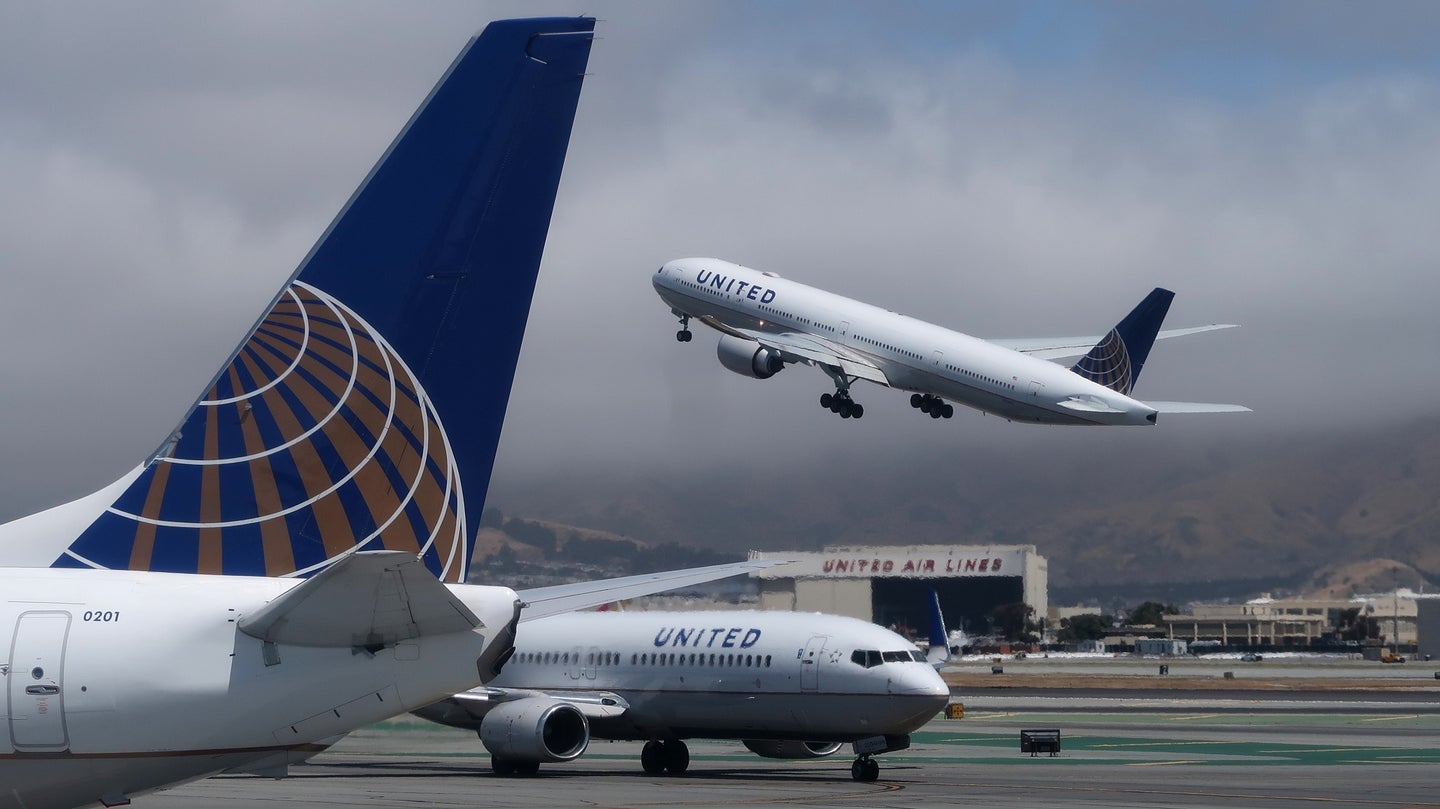 Watch a Bird Try to Hitch a Ride on a Cross Country United Airlines Flight