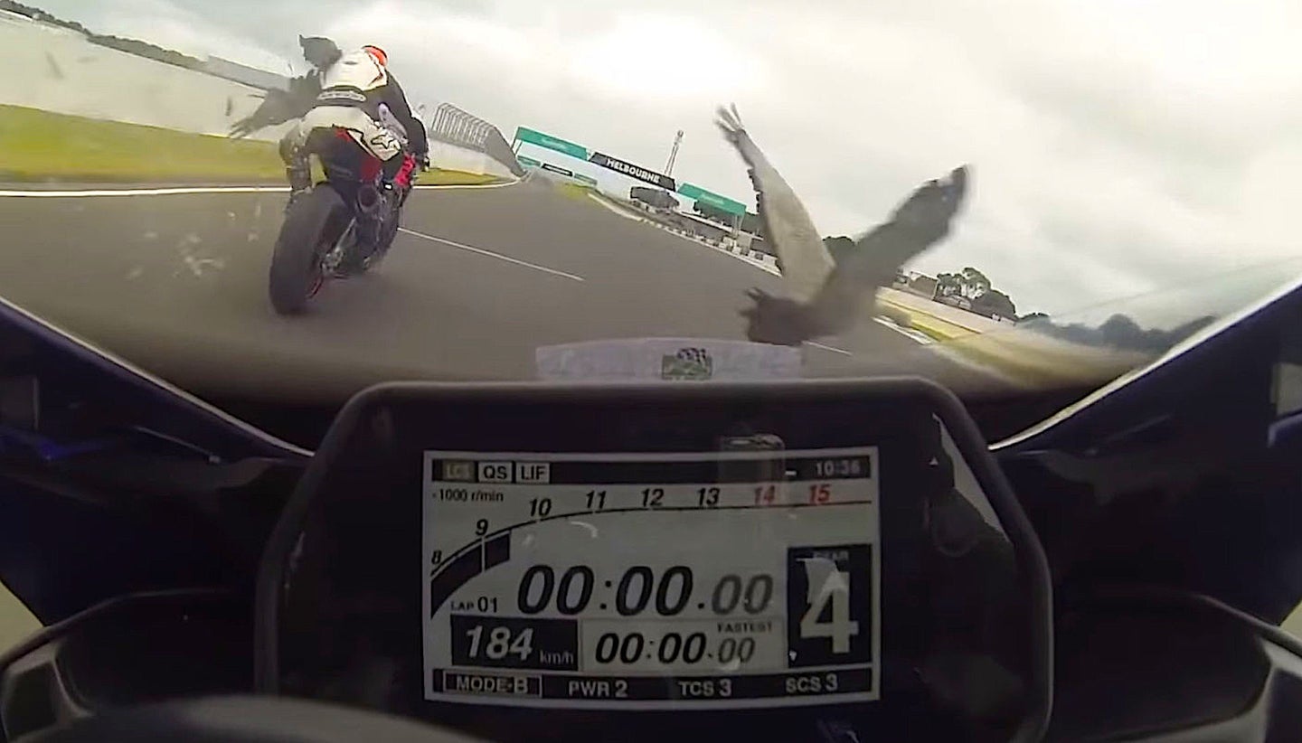 Watch This Bird Take out a Motorcycle Rider Going 115 MPH