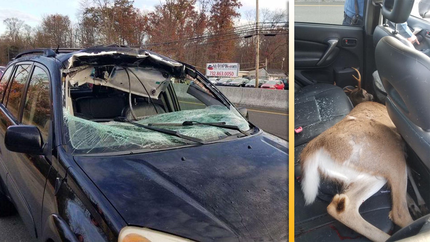 Driver Cheats Death After Deer Flies Through Windshield, Lands in Backseat