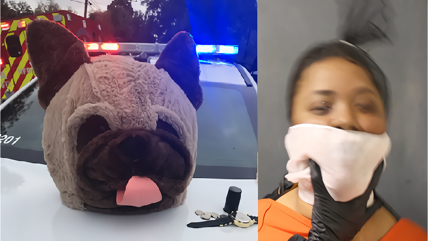Texas Woman Wearing Giant Dog Head Leads Houston Cops on Car Chase After Alleged Robbery