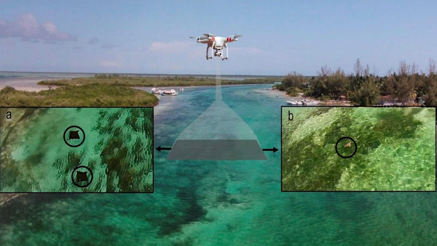 Off-the-Shelf Drones Are Being Used by Bio-Researchers to Accurately Track Aquatic Life