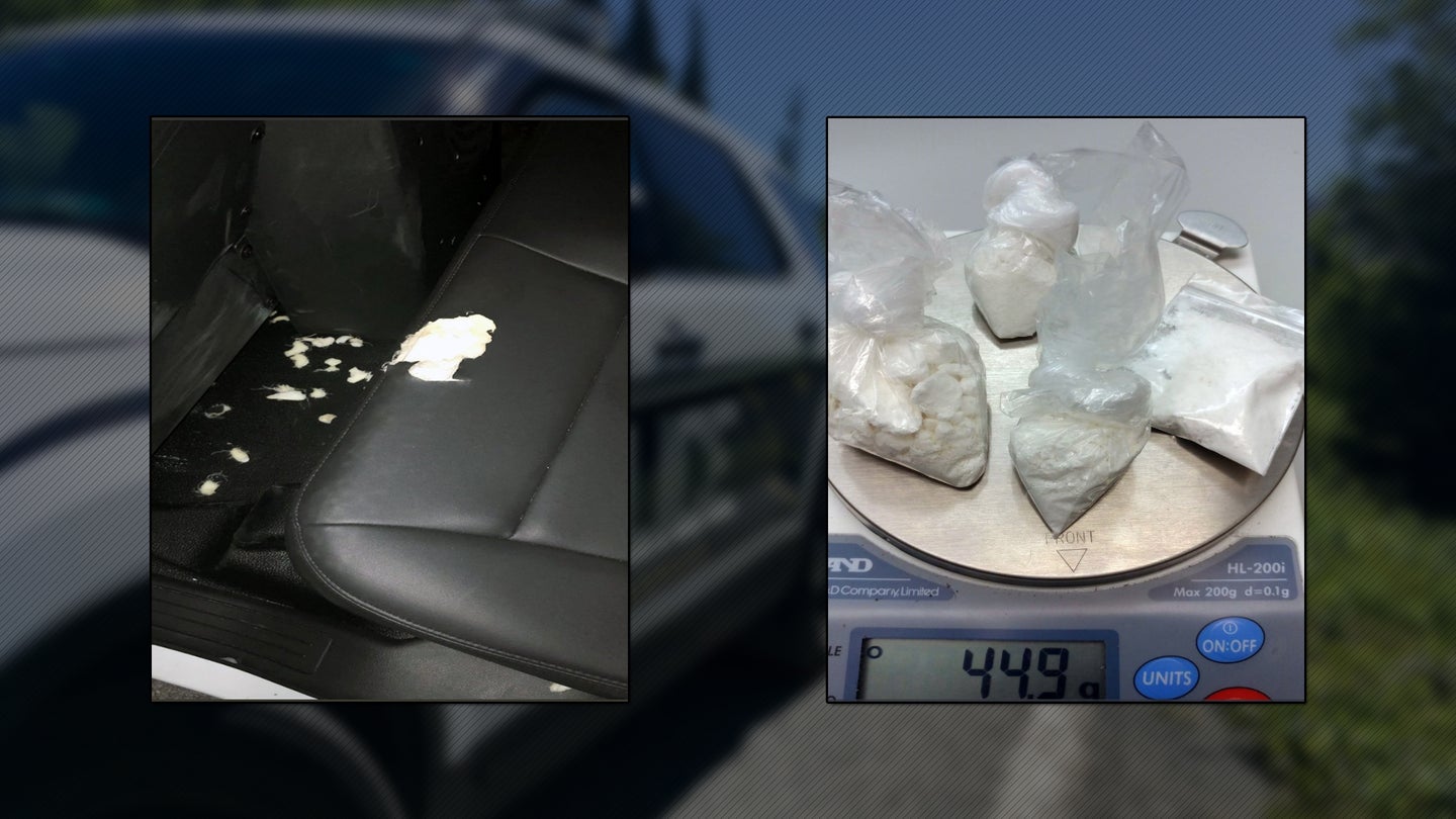 Florida Man Chews Through Cop Car’s Back Seat After Being Arrested for Cocaine Possession