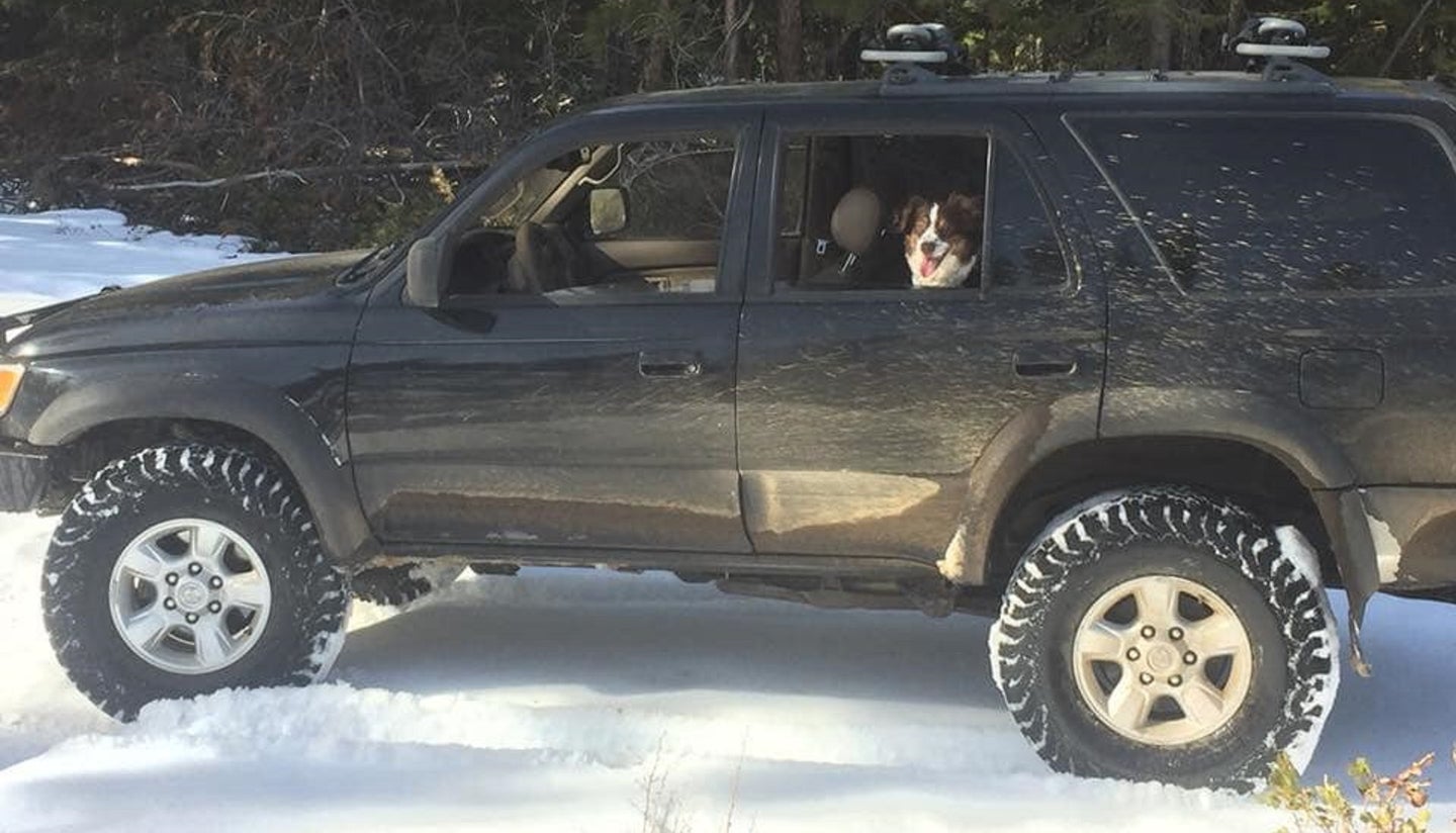Man, Dog Trapped in Snow-Bound Toyota 4Runner Survive 5 Days on Taco Bell Sauce Packets