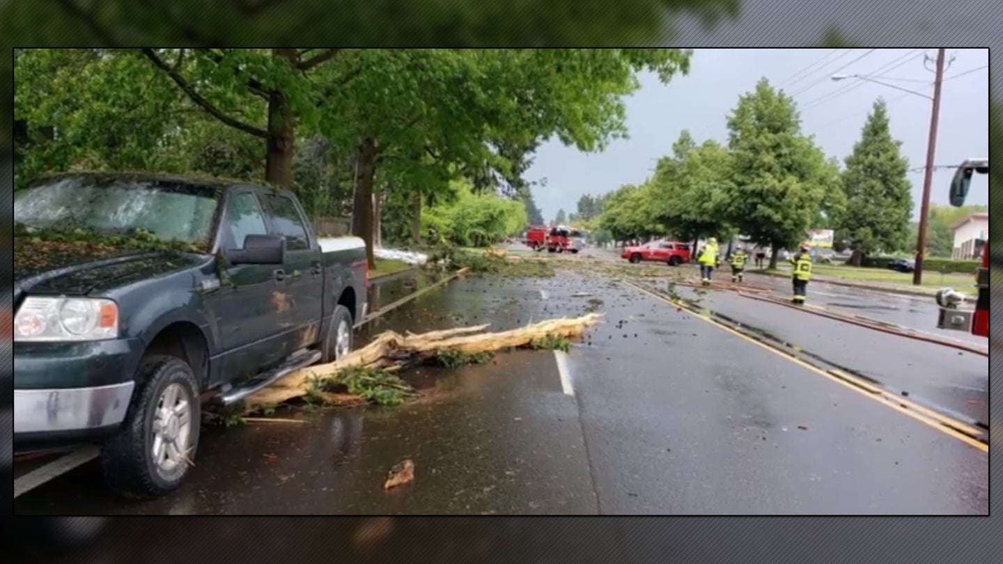 Dash Cam Video: Lightning Strikes Massive Tree That Falls on Unlucky Ford F-150 Pickup Truck