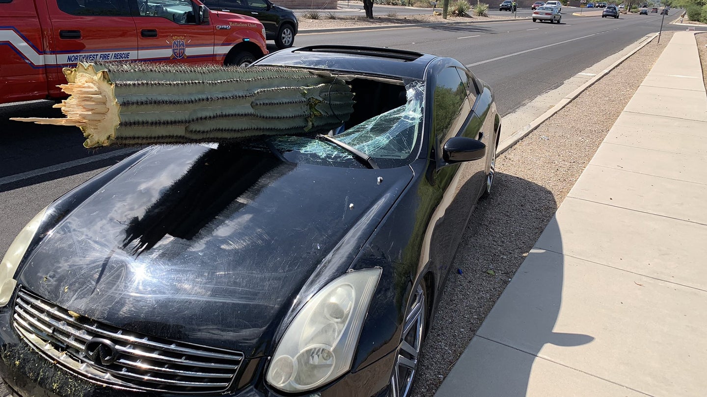 Stray Saguaro Cactus Skewers Infiniti G35 in Unusual Arizona Traffic Accident