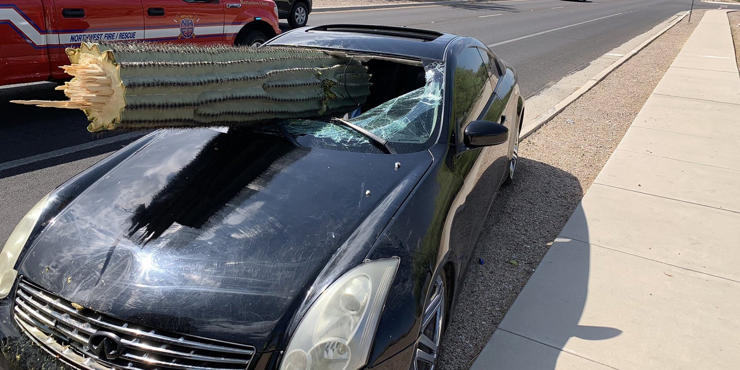 Stray Saguaro Cactus Skewers Infiniti G35 in Unusual Arizona Traffic Accident