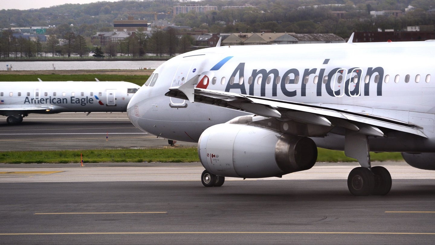 American Airlines Flight Attendant Gets Stitches After Being Attacked by Emotional Support Dog