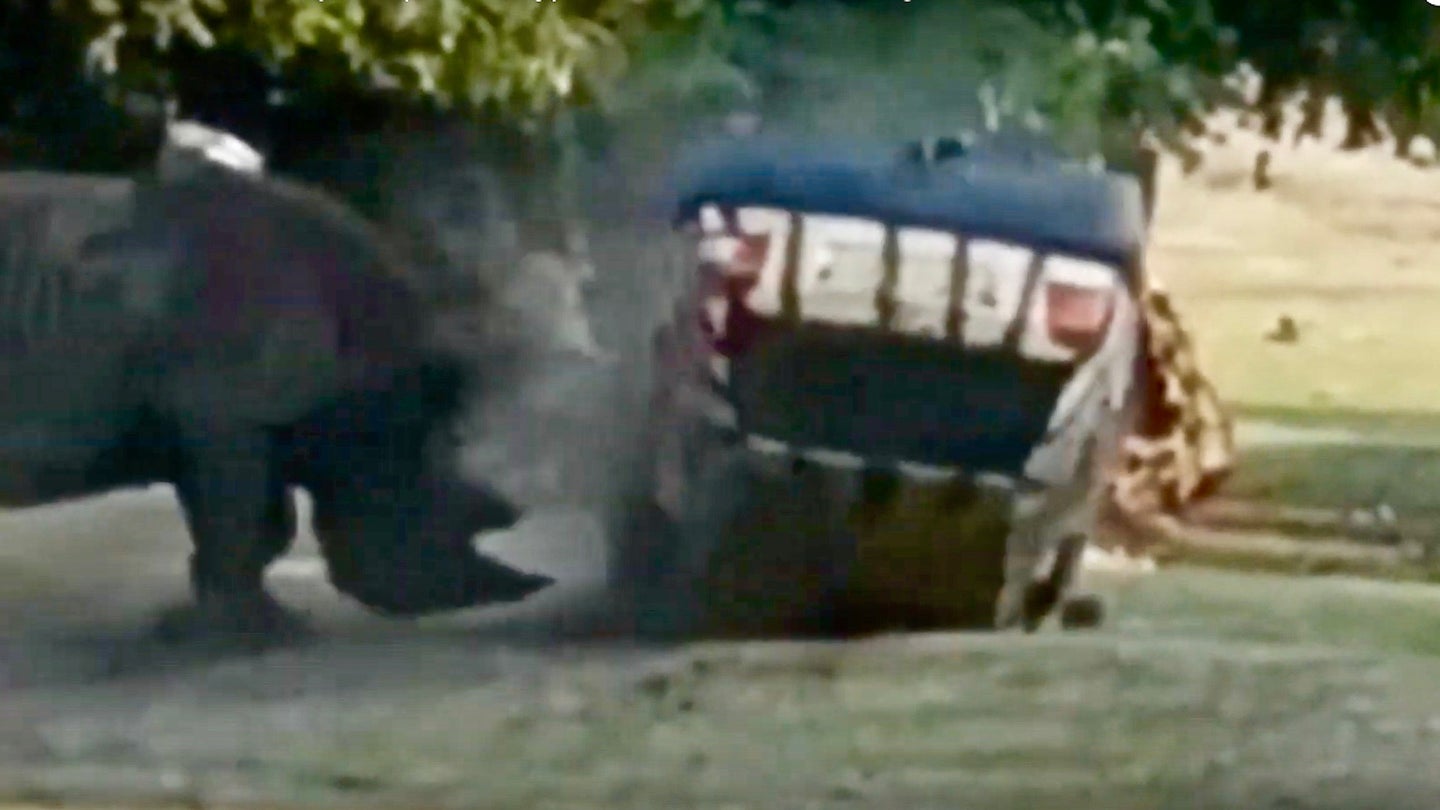 Watch an Angry Rhino Toss Around a Zookeeper’s VW Golf Like It’s a Toy