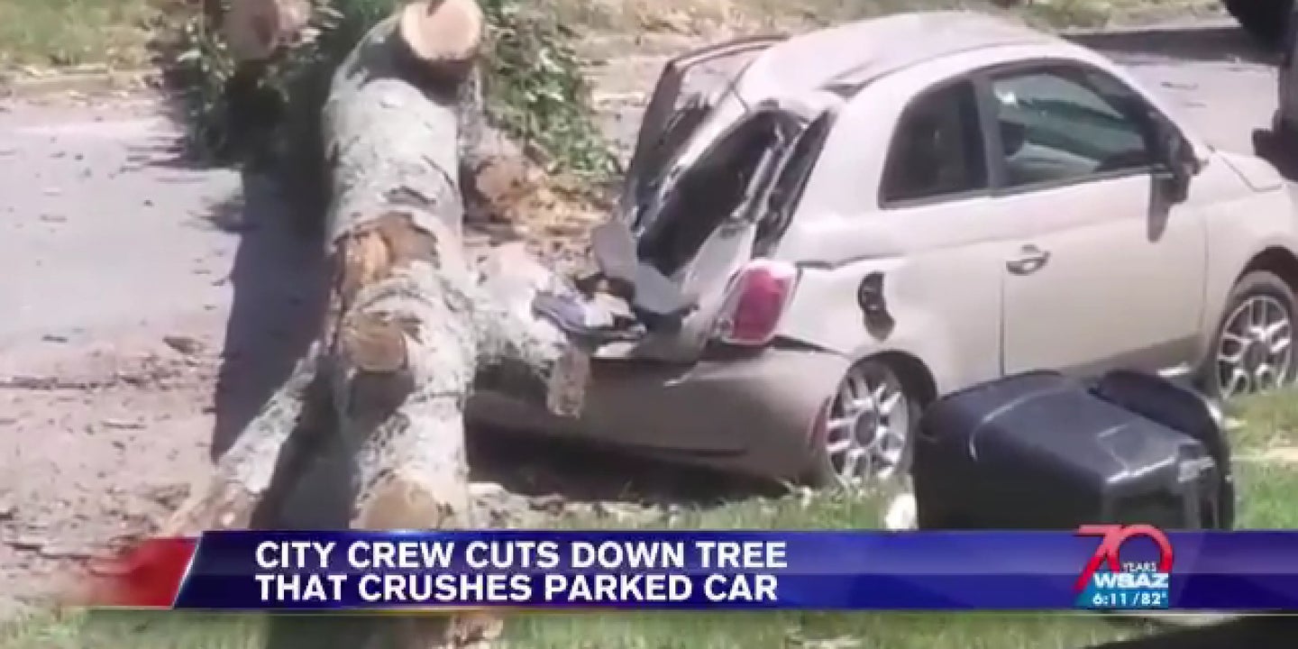 West Virginia Man’s Reaction to Tree Falling on a Fiat Is This Year’s Greatest Local News Clip
