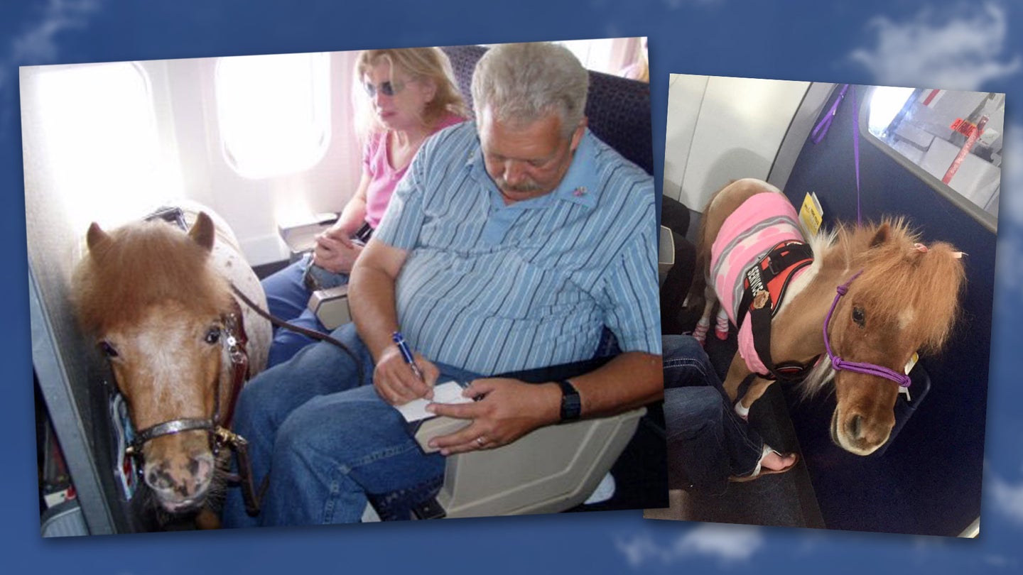 US Dept. of Transportation Rules Airlines Must Allow Miniature Horses to Fly as Service Animals
