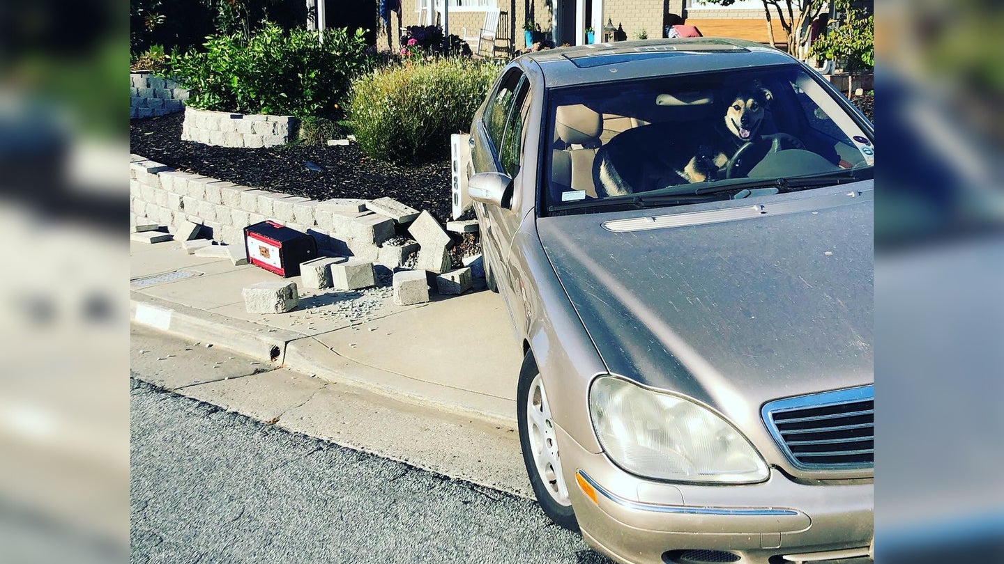 Excited Dog Takes Mercedes-Benz for Joyride, Rolls Into Wall After Shifting Car out of Park