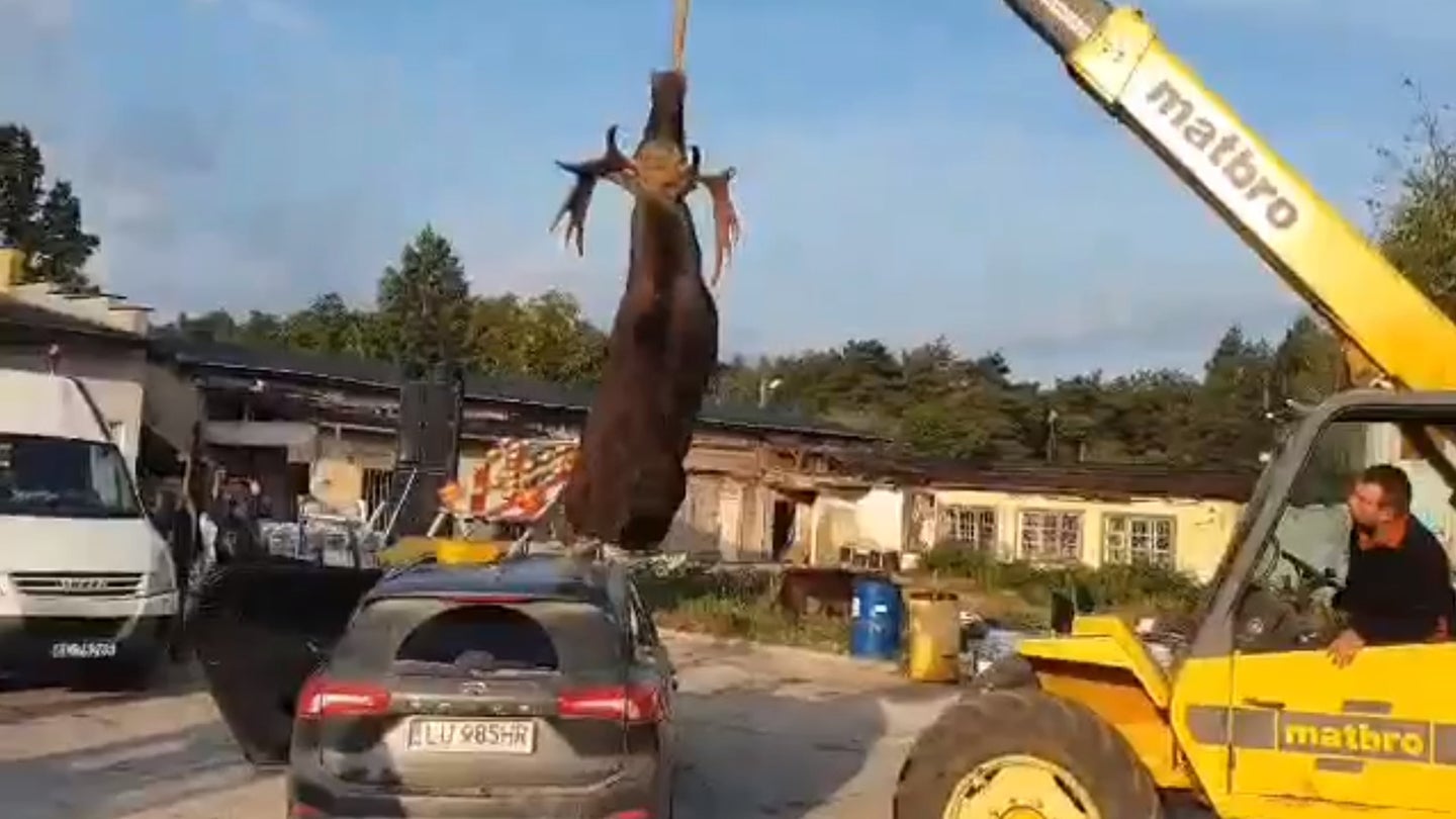 This Horrifying Collision Is Why Sweden&#8217;s &#8220;Moose Test&#8221; Exists