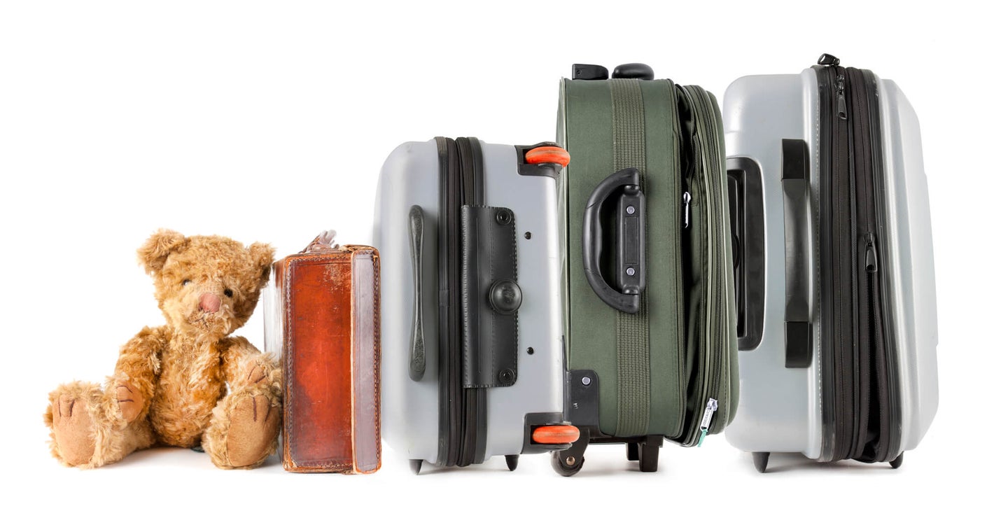 Best Bike Travel Cases: Carry Your Bike Wherever You Go
