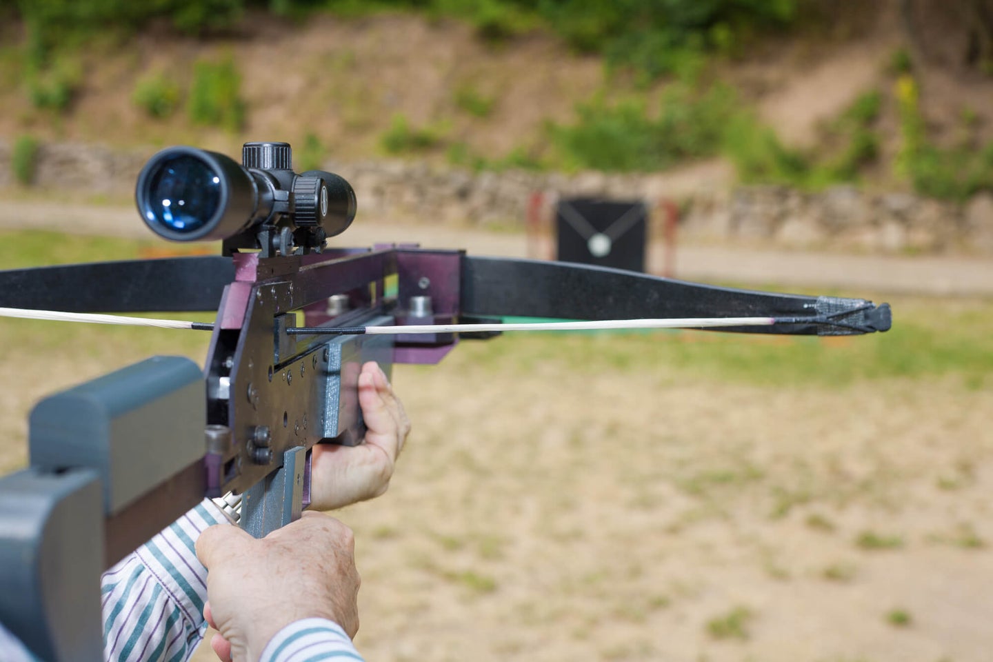 Best Bow Sights: Improve Your Shooting Accuracy