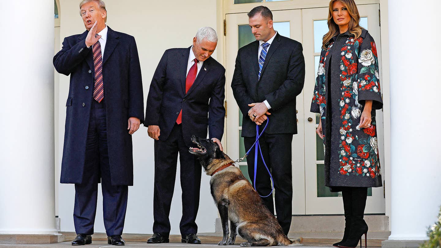 Famous Military Dog Conan Who Chased ISIS Leader Al Baghdadi Gets Medal At The White House