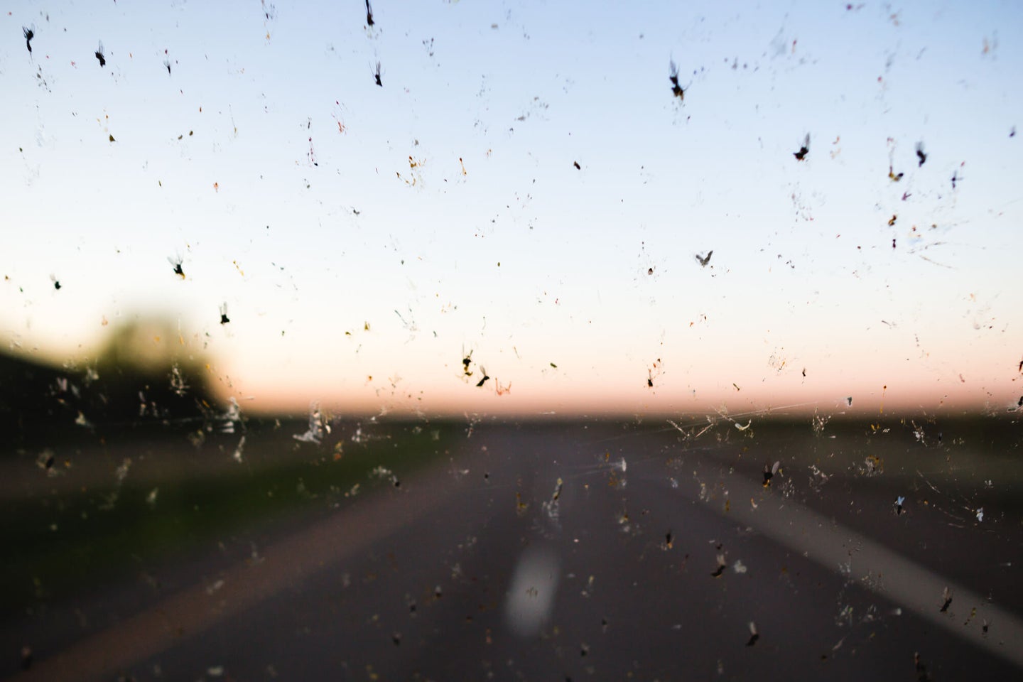 Best Bug Deflectors: Get Rid of Bugs From Your Car Windshield