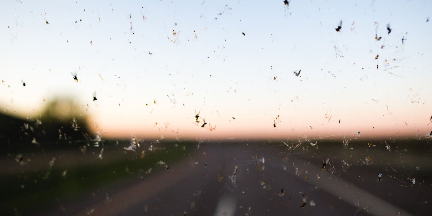Best Bug Deflectors: Get Rid of Bugs From Your Car Windshield