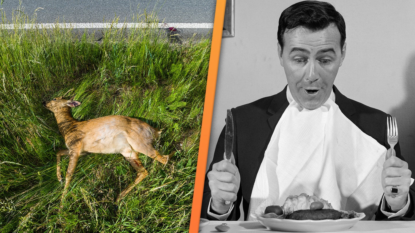 California Wants You to Eat Roadkill in 2020