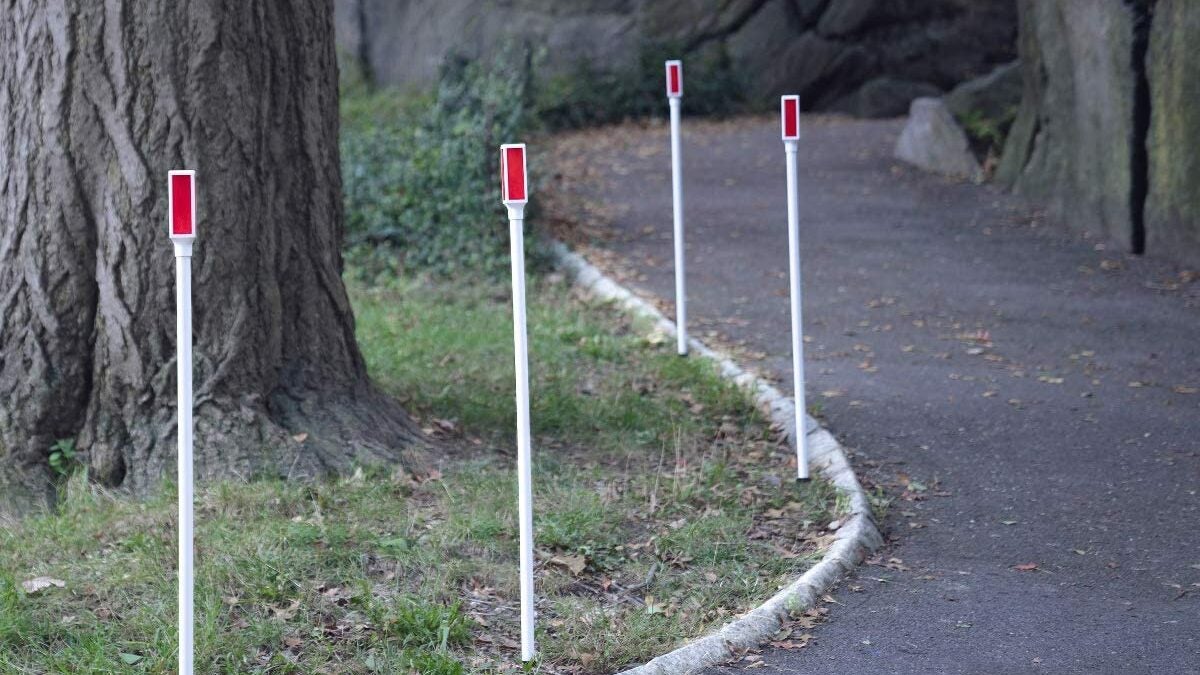 The Best Driveway Markers (Review & Buying Guide) in 2022