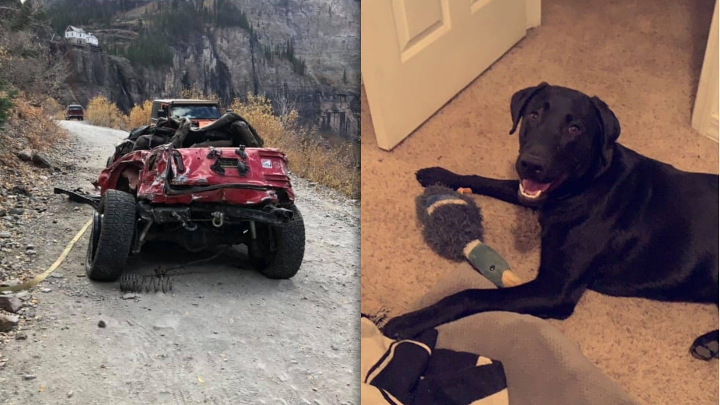 Help the People From That Black Bear Pass Jeep Crash Find Their Lost Dog (Update: Dog Found)