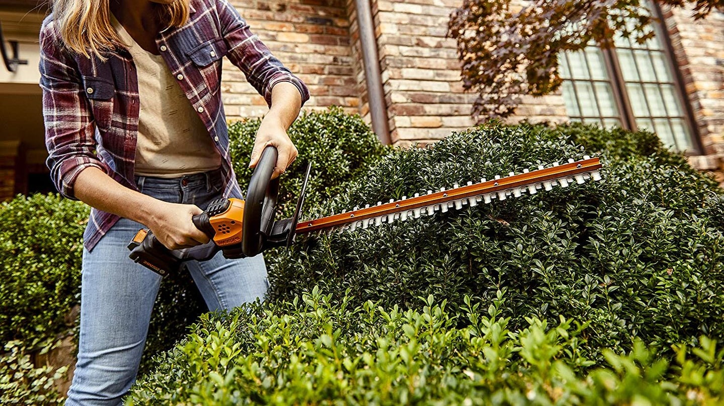 Best Electric Hedge Trimmers (Review & Buying Guide) in 2022