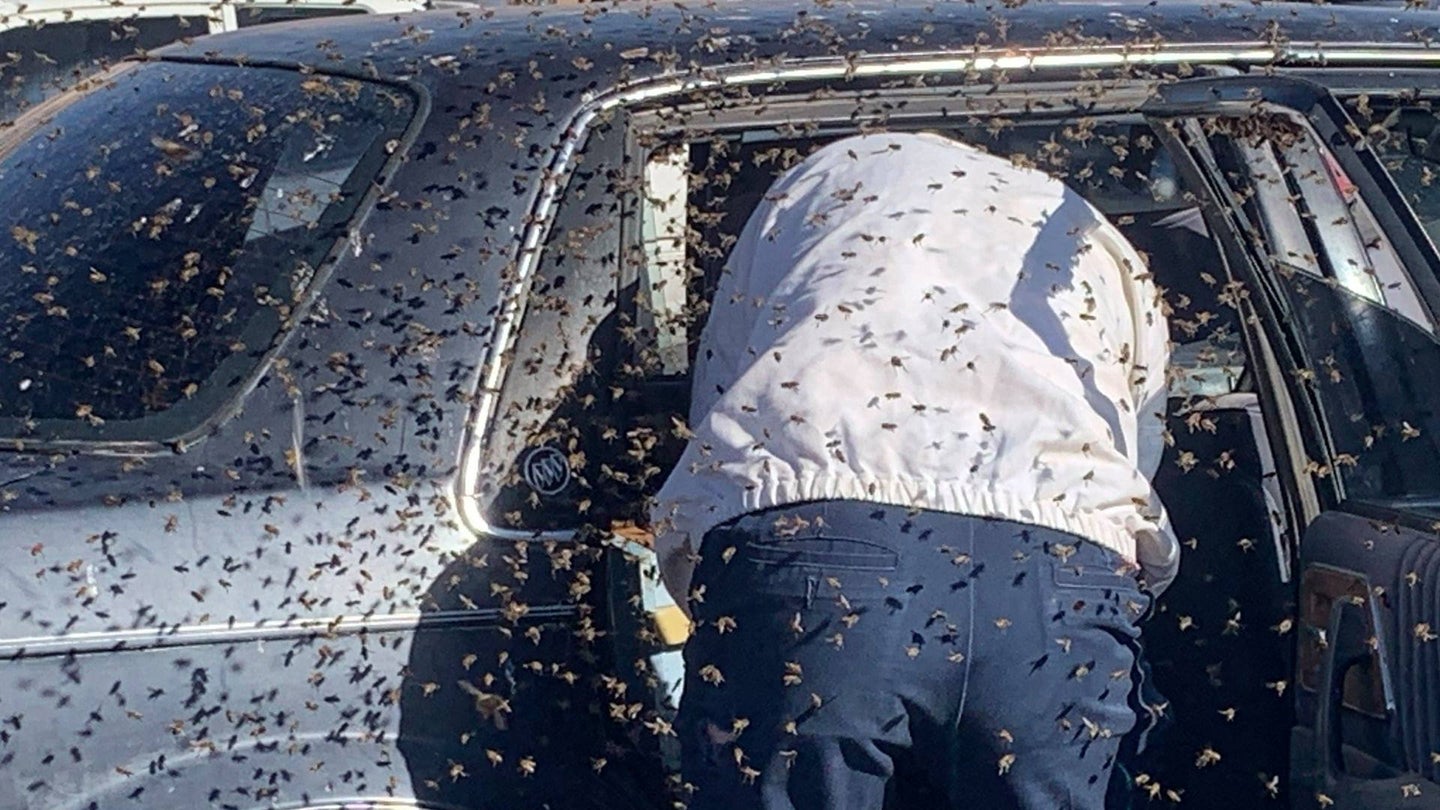 15,000 Bees Thought a Random Buick at a Grocery Store Was a Good Place to Call Home