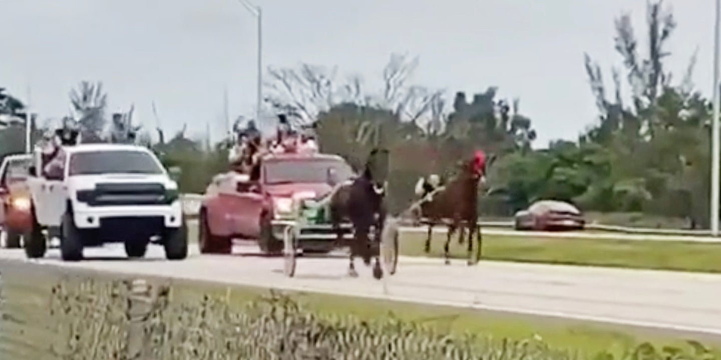 People Are Drag Racing Horses on Florida’s Highways, and Yes, It’s Totally Normal