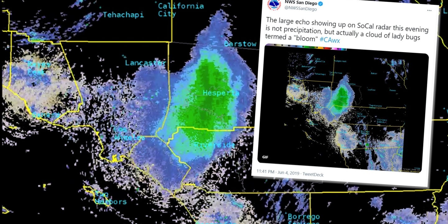 Huge &#8220;Swarm&#8221; That Lit-Up Radar Was Almost Certainly Caused By The Military, Not Ladybugs