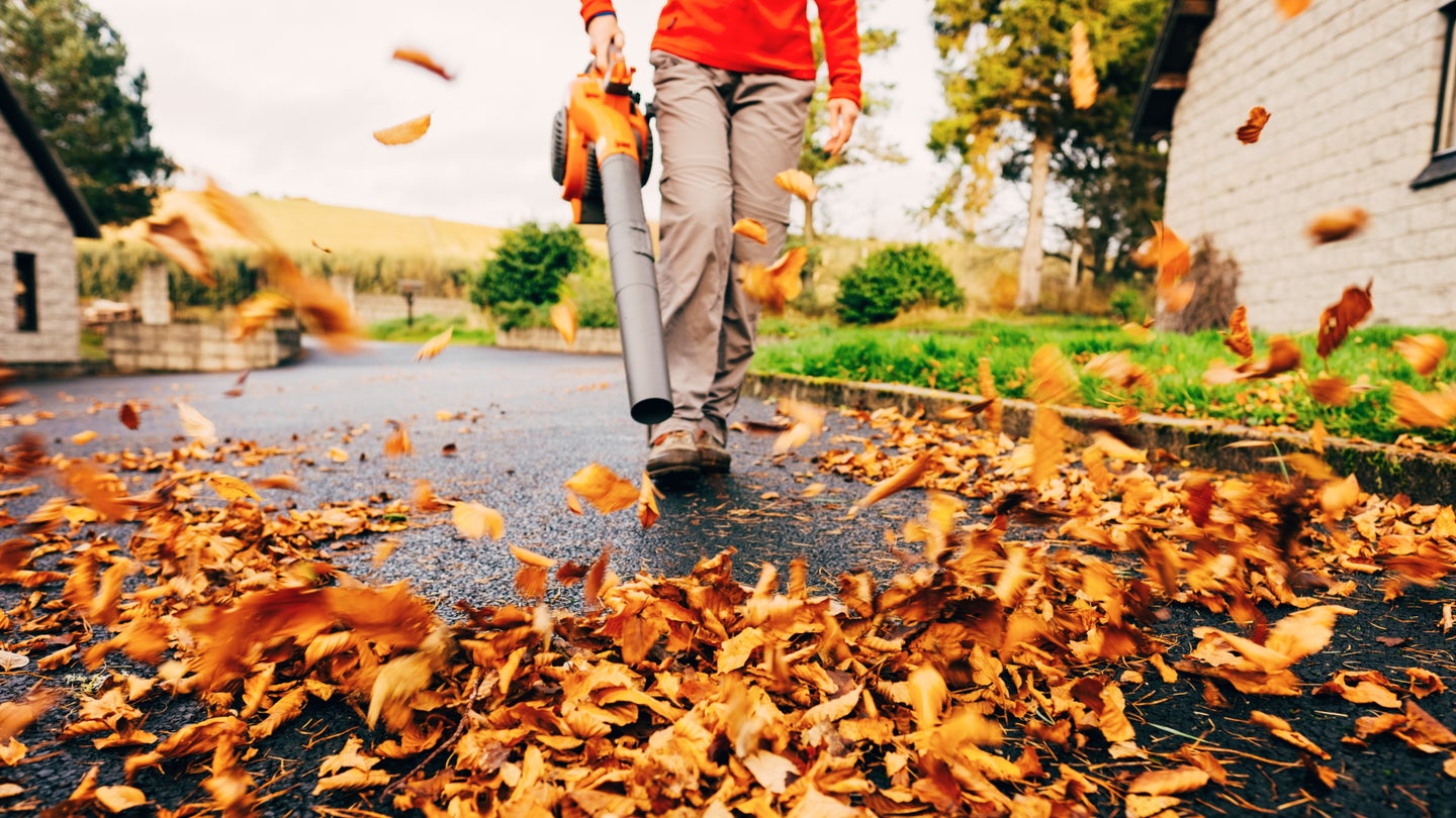 Will a Leaf Blower Help Clean Your Car&#8217;s Interior? <em>Consumer Reports</em> Tried It Out