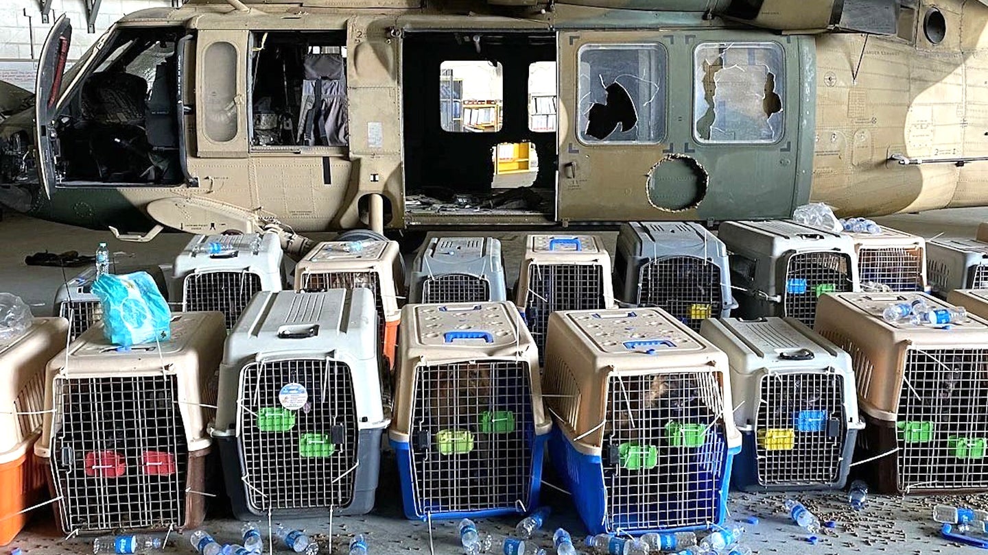 Here’s What Is Really Going On With Those Dogs The U.S. Supposedly Abandoned At Kabul’s Airport (Updated)
