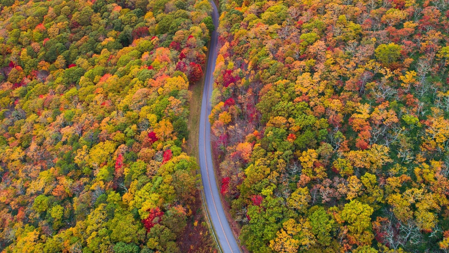 Which Are the Best Routes for Fall Color Road Trips?