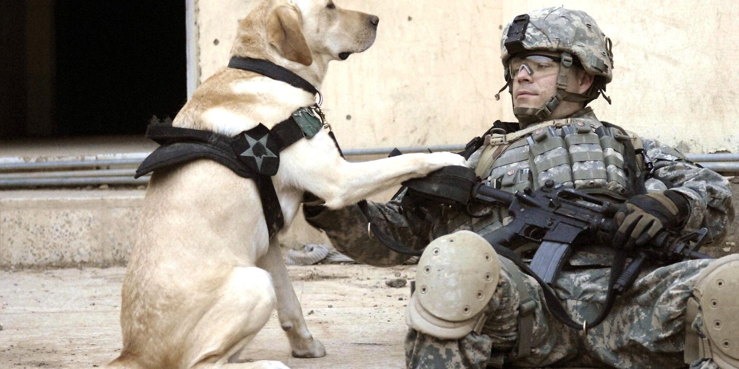 Tails Of War: Animals Have Made The Rigors Of Combat More Bearable Wherever Troops Have Served