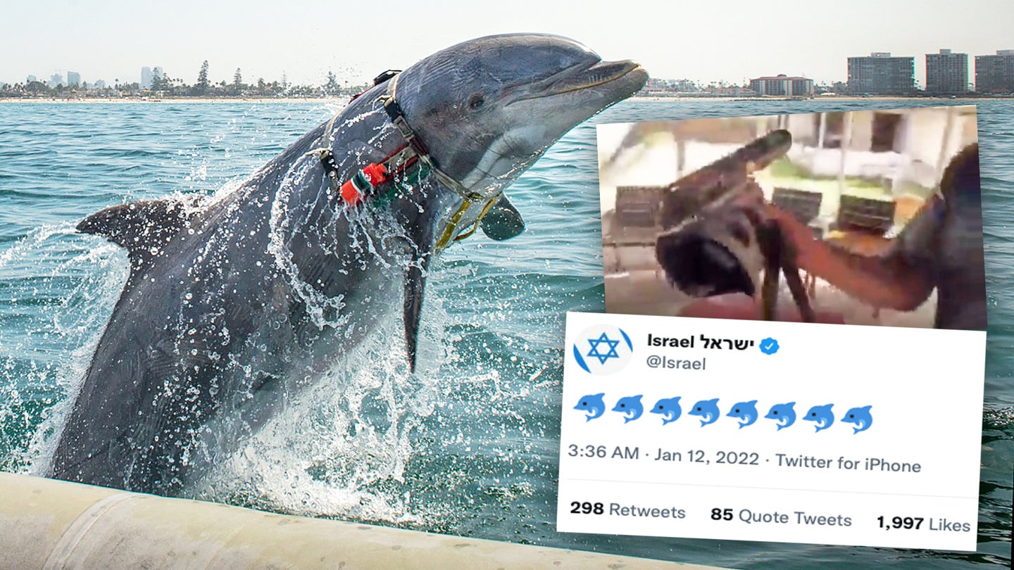Assassin Dolphin Hamas Says It Caught Continues Tradition Of Wild Claims About Israel’s Animal Spies