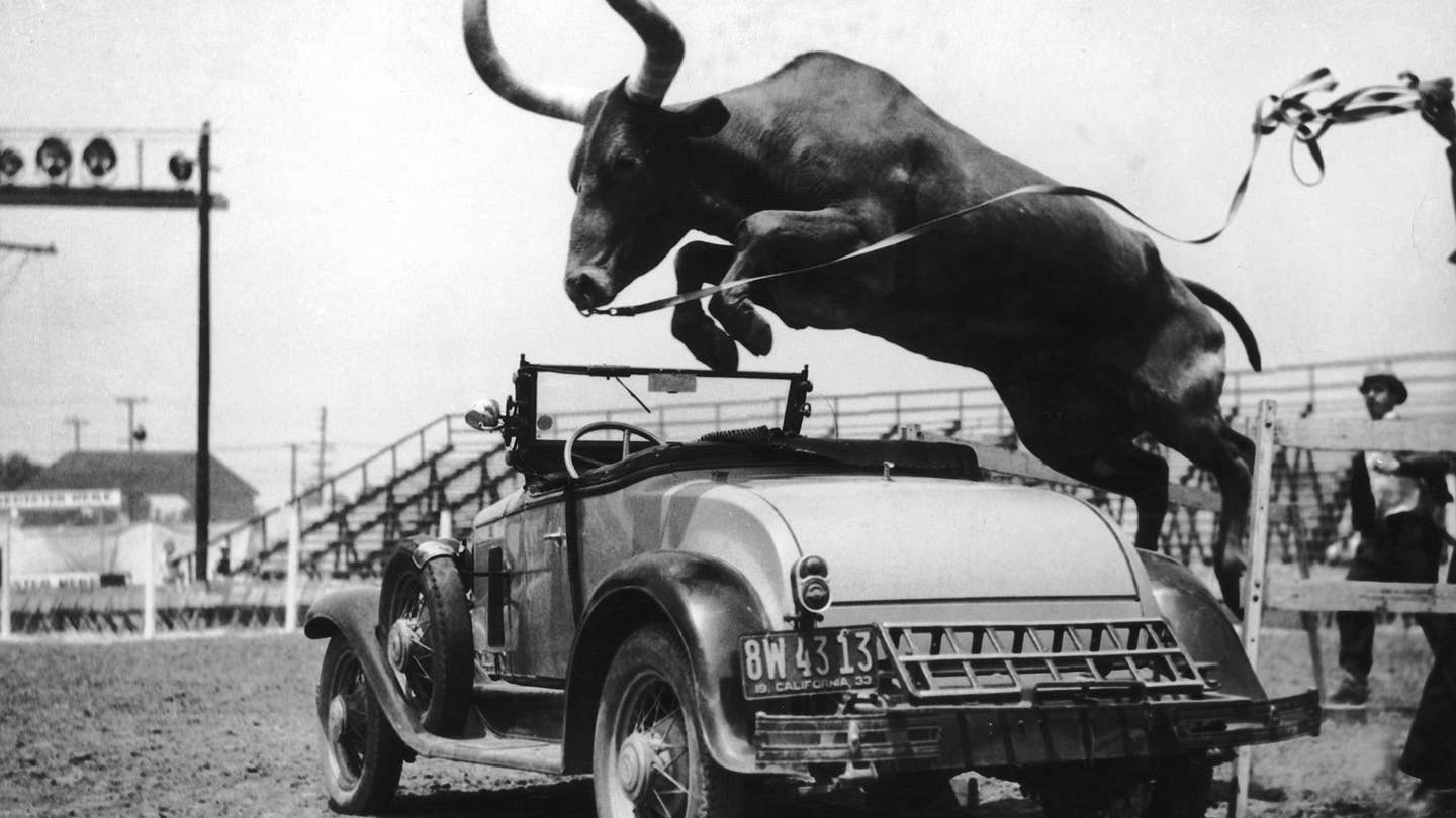 And the Cow Jumped Over the… Ford